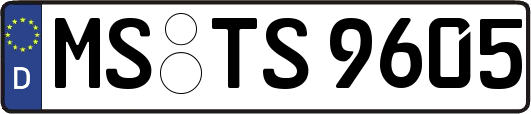 MS-TS9605