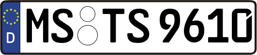 MS-TS9610