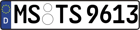 MS-TS9613