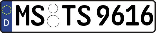MS-TS9616