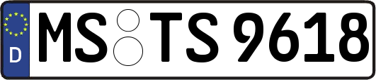 MS-TS9618
