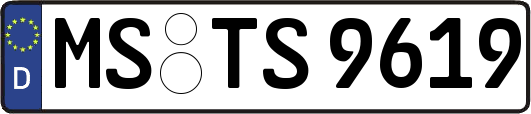 MS-TS9619