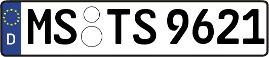 MS-TS9621