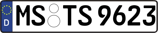 MS-TS9623