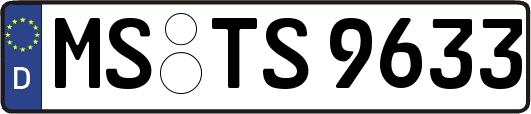MS-TS9633