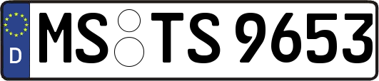 MS-TS9653