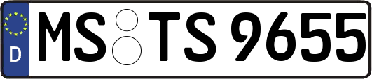 MS-TS9655