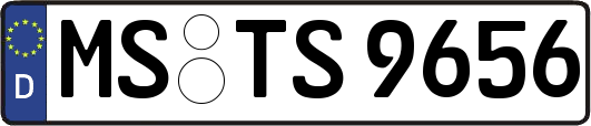 MS-TS9656