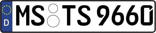 MS-TS9660