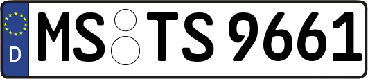 MS-TS9661