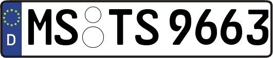 MS-TS9663