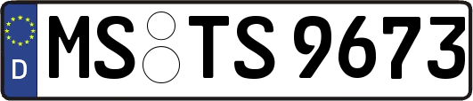 MS-TS9673