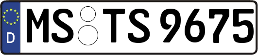 MS-TS9675