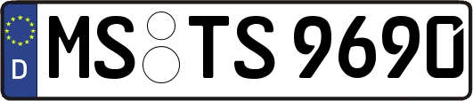 MS-TS9690