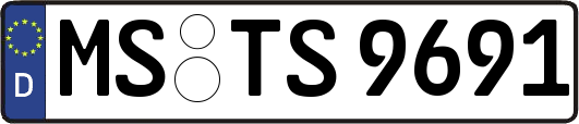 MS-TS9691