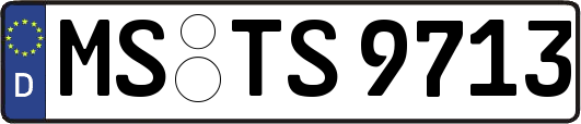 MS-TS9713