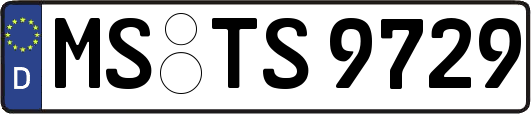 MS-TS9729