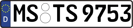 MS-TS9753