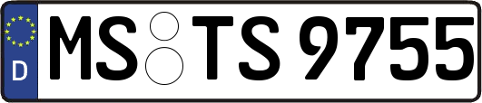 MS-TS9755