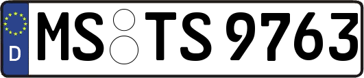 MS-TS9763
