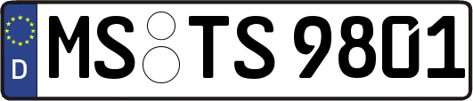 MS-TS9801