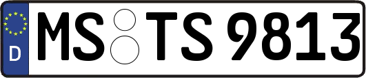 MS-TS9813
