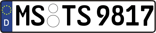 MS-TS9817