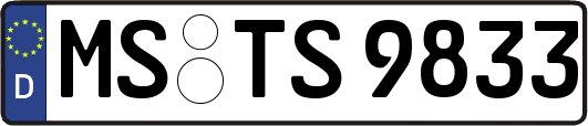 MS-TS9833