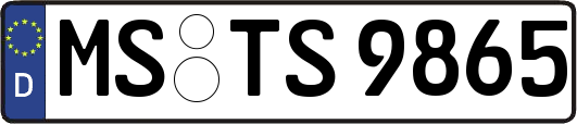 MS-TS9865