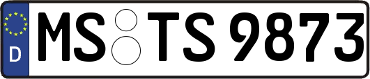 MS-TS9873