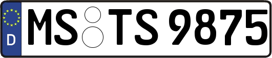MS-TS9875