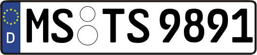 MS-TS9891