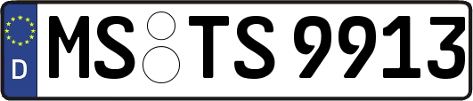 MS-TS9913
