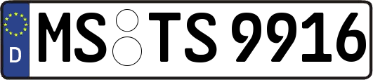 MS-TS9916
