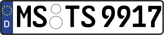 MS-TS9917
