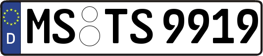 MS-TS9919