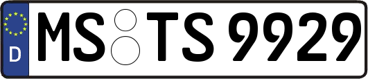 MS-TS9929