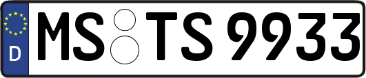 MS-TS9933