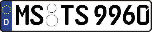 MS-TS9960
