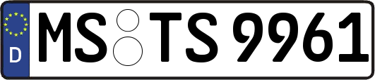 MS-TS9961