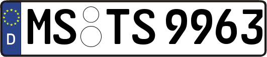 MS-TS9963