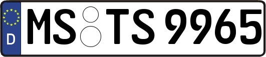 MS-TS9965