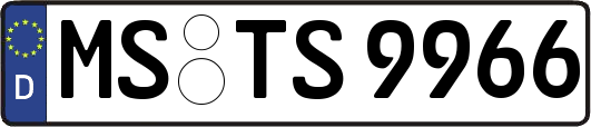 MS-TS9966