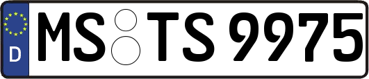 MS-TS9975