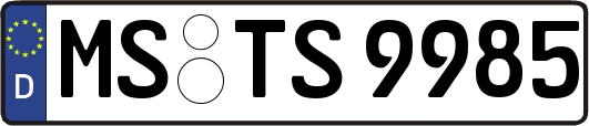 MS-TS9985