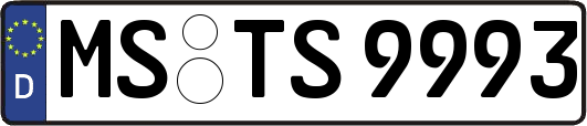 MS-TS9993