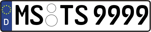 MS-TS9999