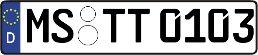 MS-TT0103
