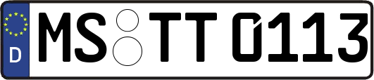 MS-TT0113