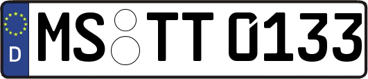 MS-TT0133
